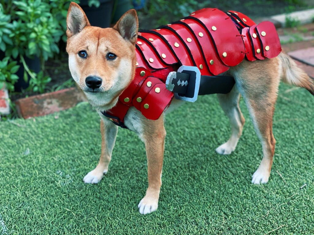 Samurai dog outfit