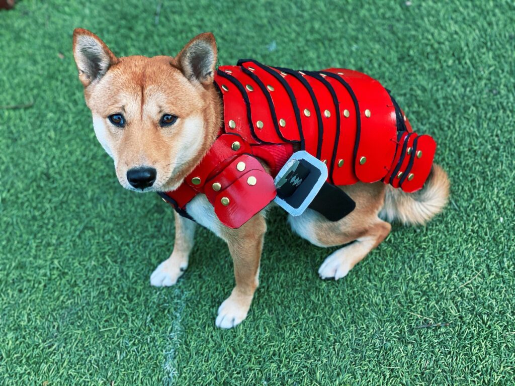 samurai dog outfit
